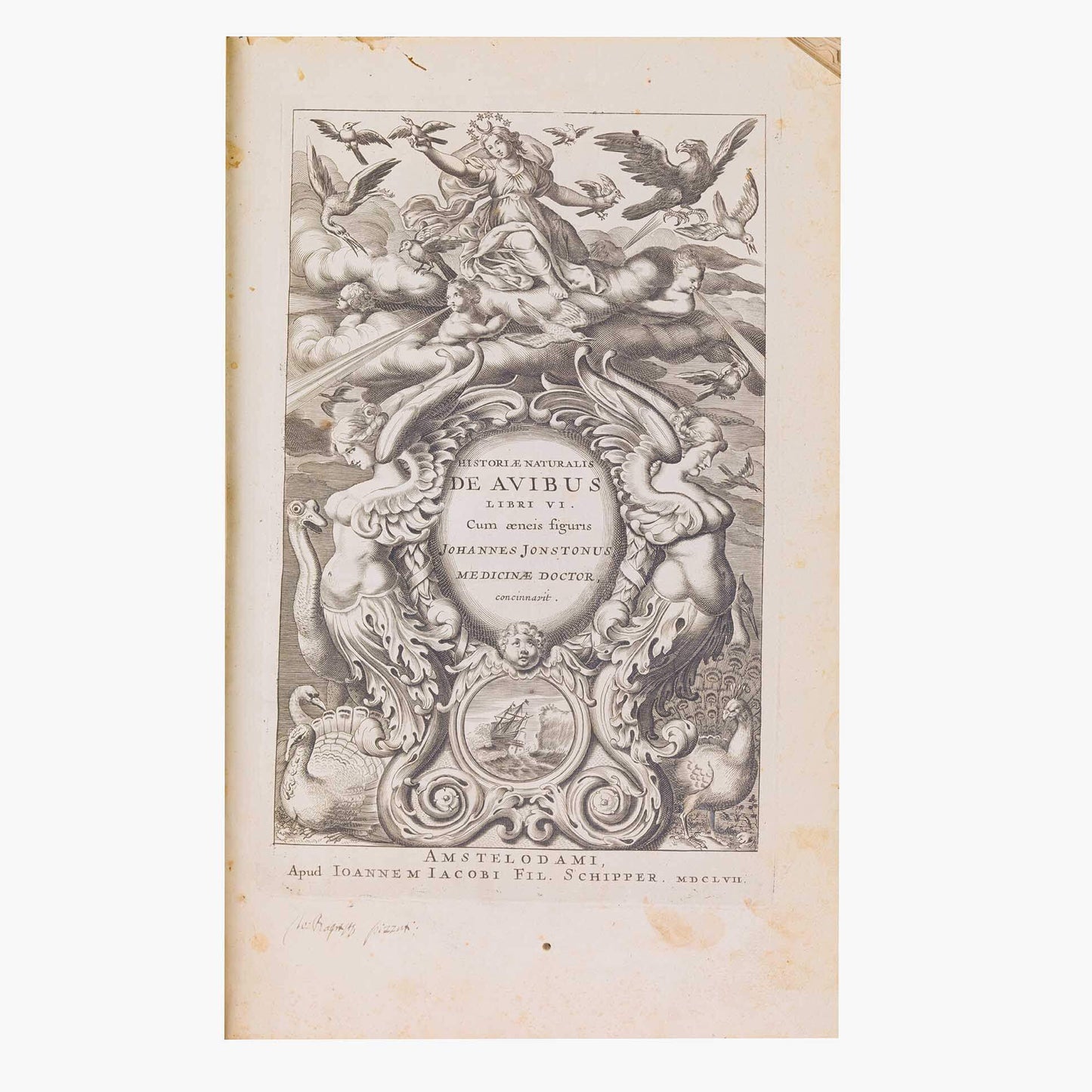 Historiae Naturalis Johannes Jonstonus 1657